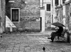 ...gli ultimi... ...gli ultimi...