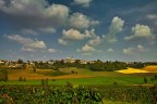 Paesaggio Collinare Paesaggio Collinare