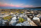 Life on the rock Life on the rock