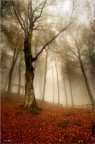 Nebbia rossa Nebbia rossa