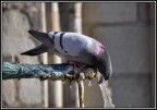 ---che caldo.. ---che caldo..