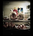 What's for dinner