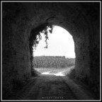 scorcio di campagna scorcio di campagna