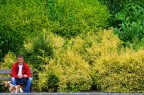 Relax al parco