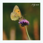 il pericolo sotto i piedi il pericolo sotto i piedi