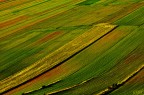 Le mille texture di Castelluccio Le mille texture di Castelluccio
