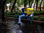 Coyoacan 7102831 Coyoacan 7102831