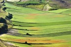Valle fiorita