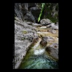 Aghe di mont Aghe di mont