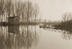 Padule di Fucecchio