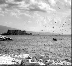 Il mare d'inverno Il mare d'inverno