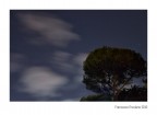 Come foglie al Vento Come foglie al Vento