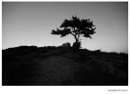 verso la luce