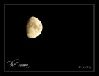 Moon Moon