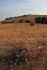 Podere Podere