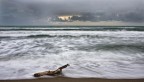 ...marina 2...