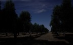 la luce della luna la luce della luna