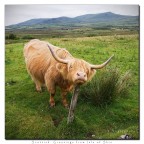 Greetings from Scotland Greetings from Scotland