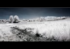 Landscape ir Landscape ir