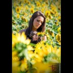 Michela - Girasoli 02 Michela - Girasoli 02