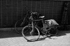 Abbandono e solitudine Abbandono e solitudine
