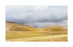 spasmodica ricerca della luce