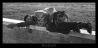 "barbone" dormiglione "barbone" dormiglione
