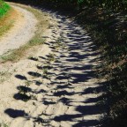 Alien invasion Alien invasion