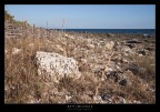 torre lapillo - puglia torre lapillo - puglia