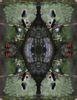 Maternit -RINSECCHITA-