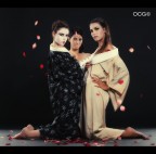 Maiko Geiko Geisha! Maiko Geiko Geisha!