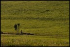 ....scusi per il lago? ....scusi per il lago?