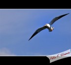 Geometrie di Volo Geometrie di Volo