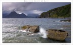 Brackish Smell of Elgol Brackish Smell of Elgol