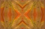 Fotoelaborazione