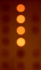 Composizione 61