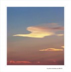 Il volo...dell'airone Il volo...dell'airone