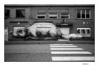 Quel che resta...4 Quel che resta...4