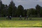al parco al parco