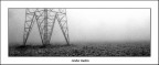 come 1 foto ecco l'antenna da cui trasmettere le mie inquietudini.