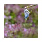 nel suo habitat nel suo habitat