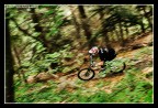 MTB|BackInTheWoods MTB|BackInTheWoods