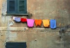 Distesa di colori Distesa di colori