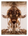 La figura nell'inchiostro La figura nell'inchiostro