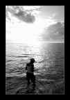 Reach for the sunset Reach for the sunset