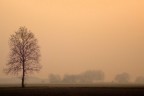 Luci e nebbia 3 Luci e nebbia 3