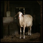 incotri ravvicinati incotri ravvicinati