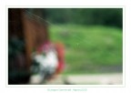 Esile