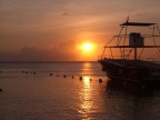 Roatan-01 Roatan-01