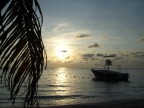 Roatan-02 Roatan-02